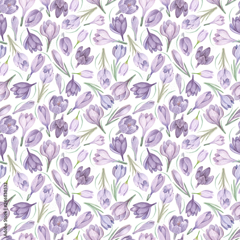 Spring saffron on white watercolor seamless pattern. Violet flowers hand painted watercolor seamless background.