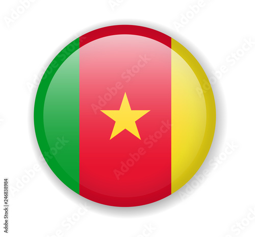 Cameroon flag round bright icon on a white background