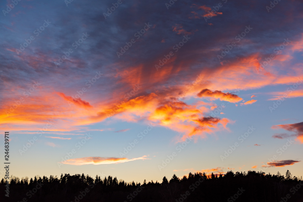 Sunset over forest with dramatic sky