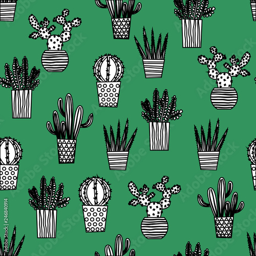 Cactus Cacti and Succulents Illustration Seamless Vector Repeat Pattern