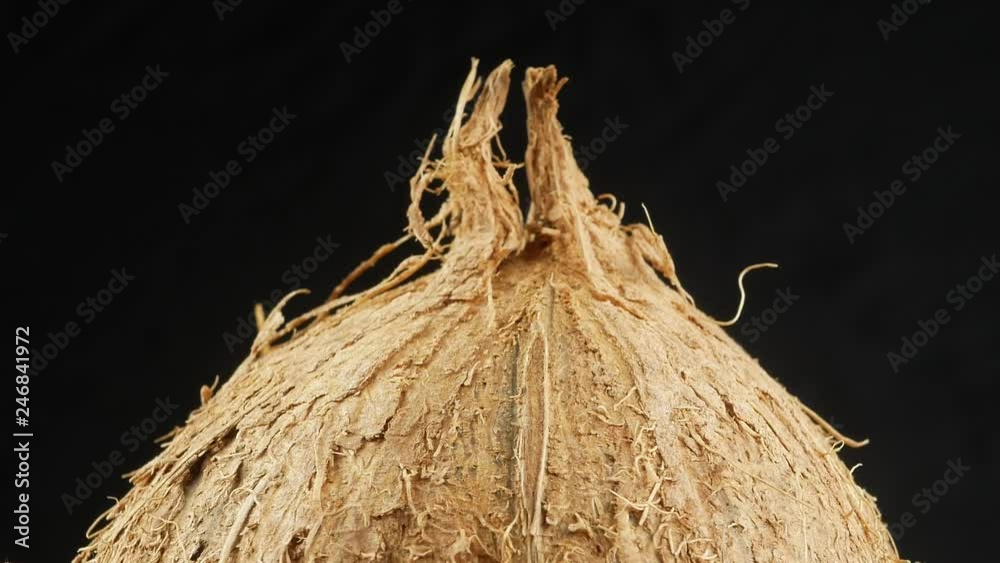 Tropical fruit coconut
