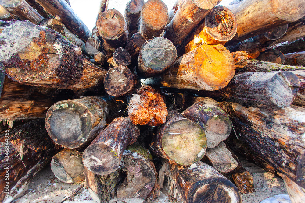 large pile of raw, old logs and firewood, background, texture large pile of raw, old logs and firewood, background, texture