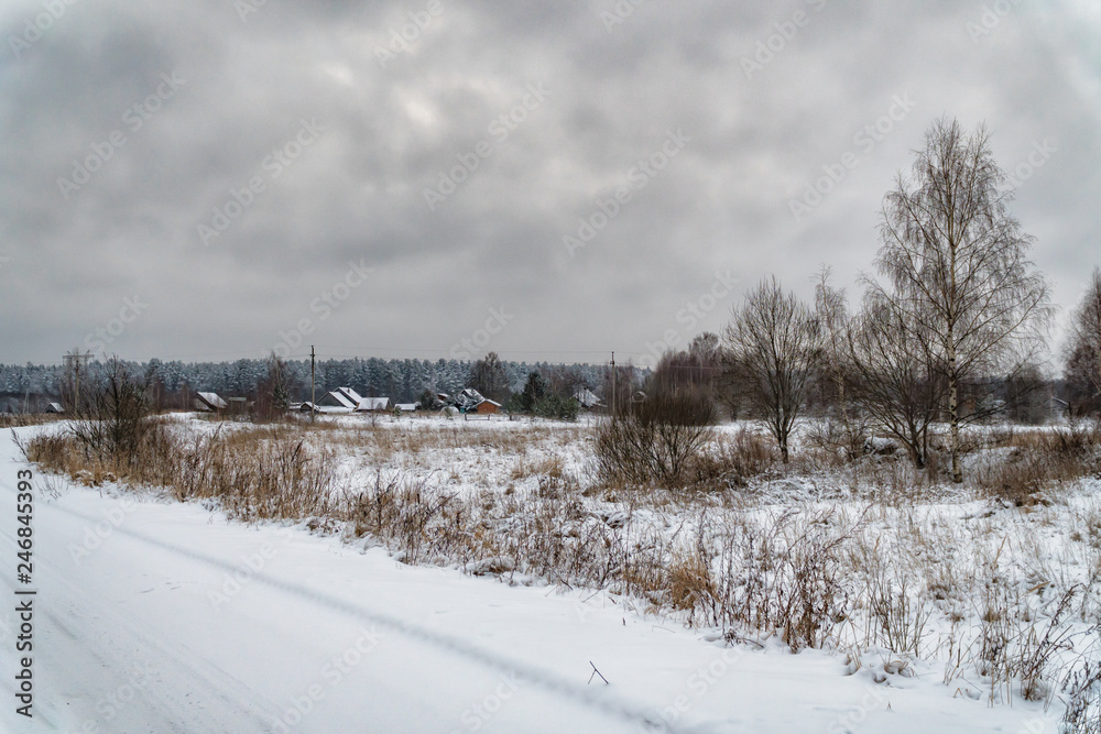 Beauty of winter