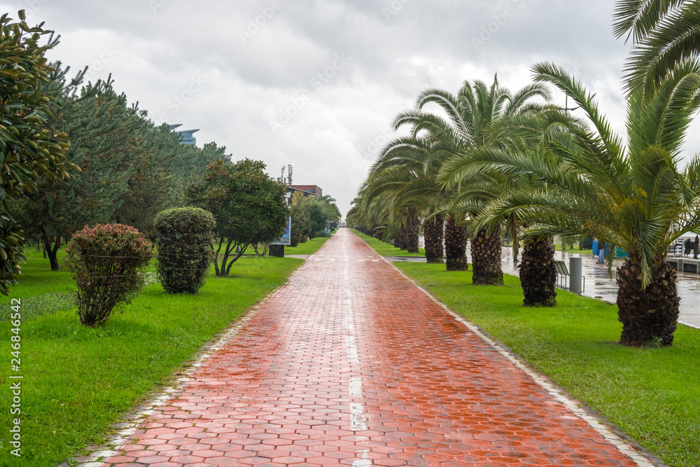 The beautiful seaside Park in the center of Batumi, rainy day
