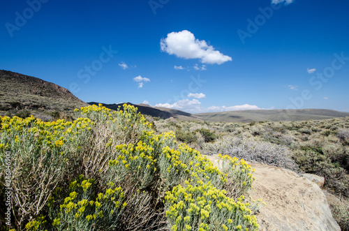 Desert sagebrush and rocks on a sunny day in California in the Eastern Sierra Nevada mountains photo