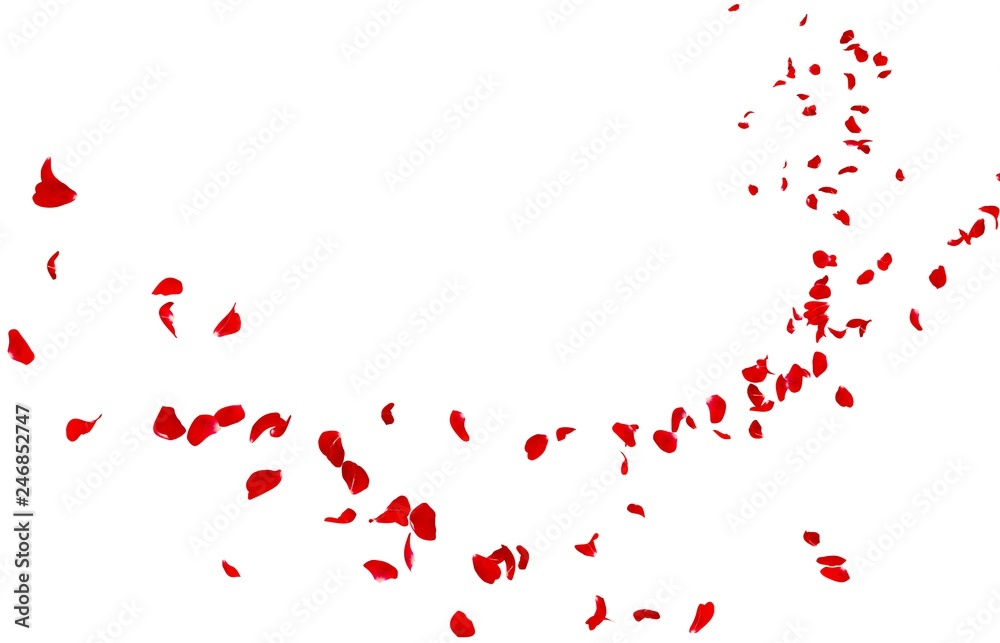 Obraz premium W oddali lecą czerwone płatki róż