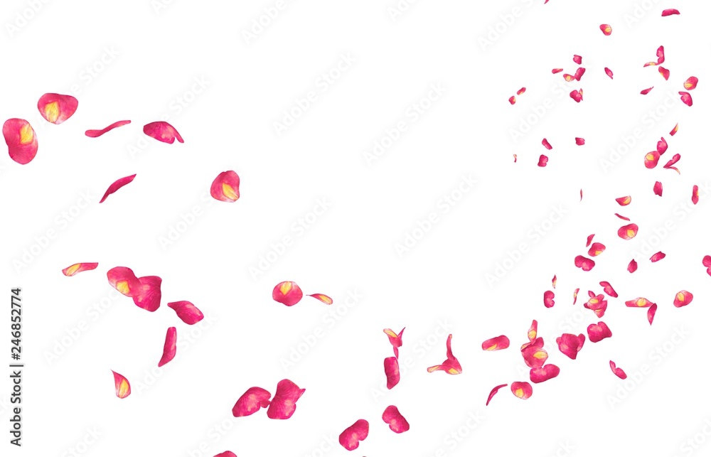 Obraz premium W oddali lecą czerwone płatki róż