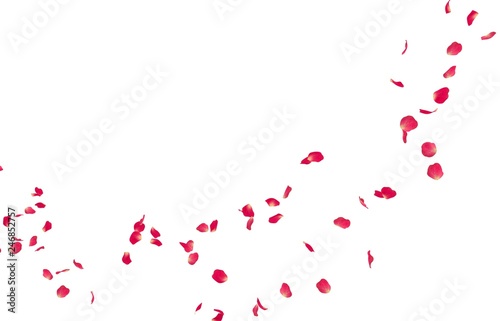 Red rose petals fly into the distance
