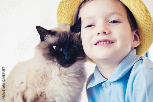 cat child balinese together play. friend affection.