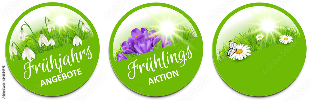 Fototapeta premium Button Set mit Frühlingsblumen, Schneeglöckchen, Krokuss, Margerite - Frühling