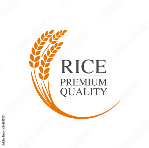 Premium Rice great quality design concept  vector.