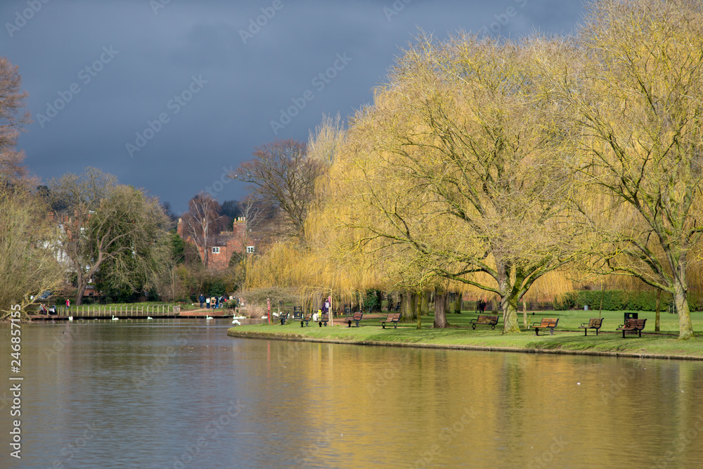 vibrant weeping willow trees on river bend with storm in background