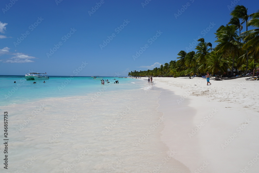 Fototapeta premium Karibik