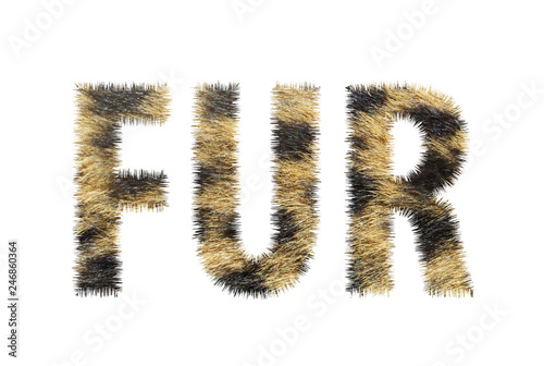 Fur word concept on white background