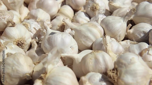 fresh garlic on the market	