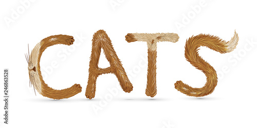 text "cat" writing with funny fluffy spot lteters on white background, red cat letters,