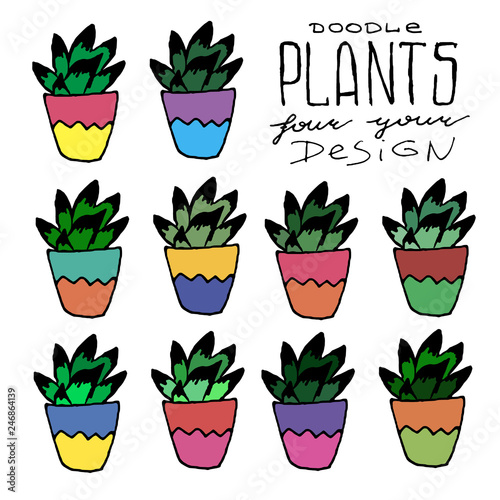 Cute Vintage Doodles of Indoor Plants. Vector illustration. Isolated Hand Drawn Hipster Sketch of Flowers In Pots. Doodle Set, Drawing Style Pen on Paper Notebook.