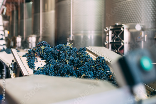 Modern winery machine with grapes