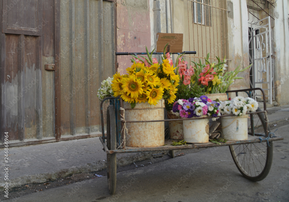 Carro de flores en las calles de La Habana Vieja