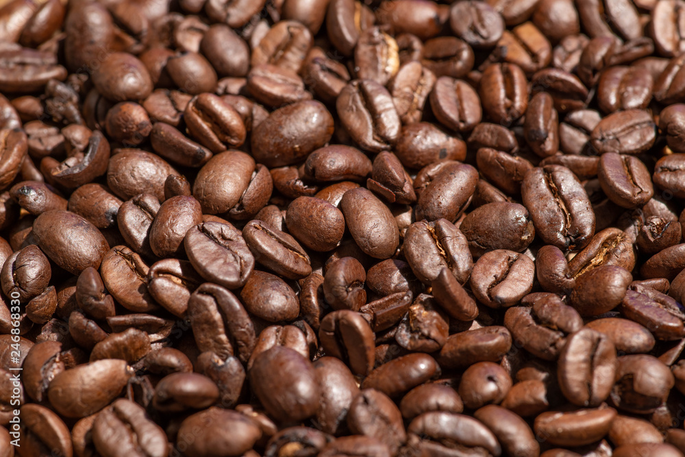 Roasted coffee beans Roasted coffee beans