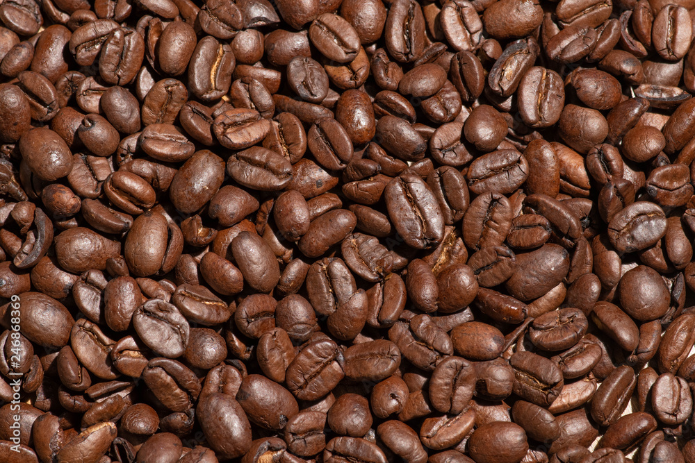 Roasted coffee beans Roasted coffee beans