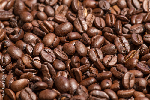 Roasted coffee beans