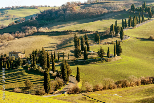 Beautiful country road bordered by cypress trees near Monticchiello, Siena, Tuscany, Italy photo