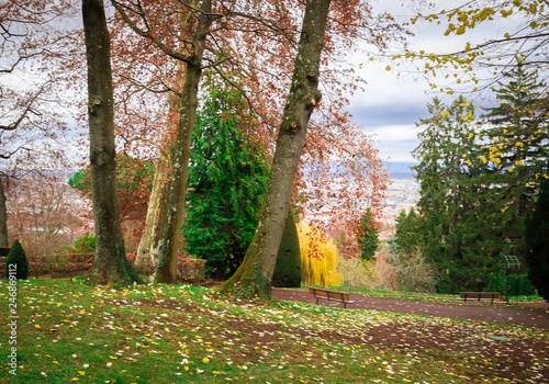 Parc tranquille coloré