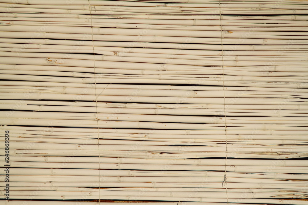 Fototapeta premium Wood Background Texture