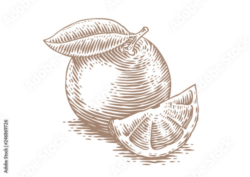 Drawing of fruit