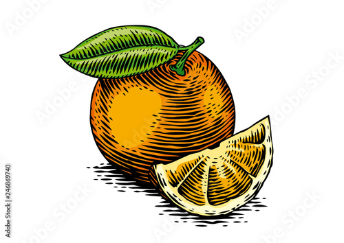 Drawing of orange
