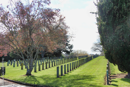 Cemetery in spring