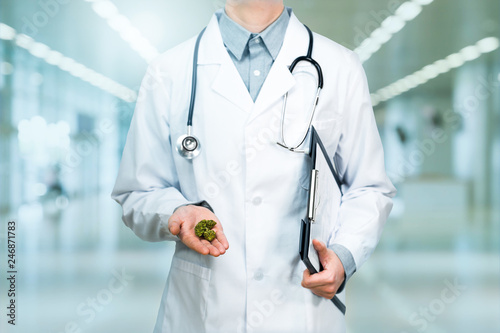 Arzt hält medizinisches CBD Cannabis in der Hand im Krankenhaus