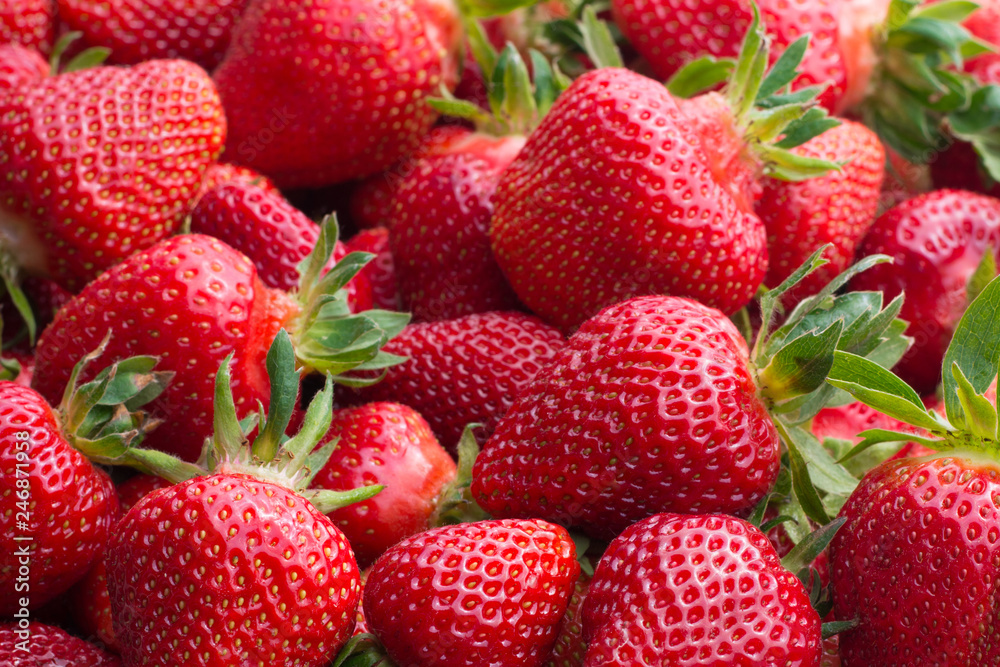 Fresh ripe strawberries