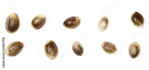 Set hemp seeds macro isolated on white background, top view