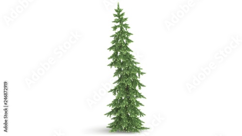 3d rendering of a green plant isolated on a white background © Archmotion.net