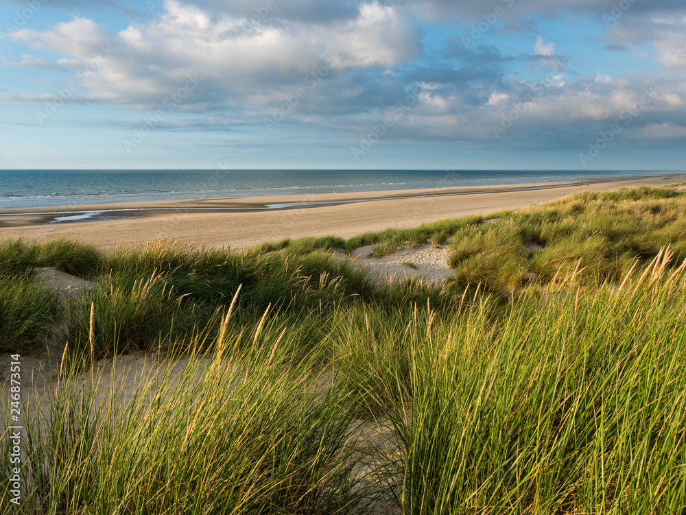 Beach view in northern France with marram grass covered dunes in the foreground