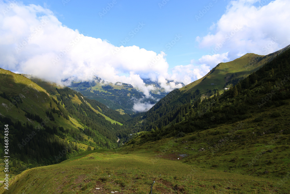 View on a forested valley in the alps with blue sky behind clouds.