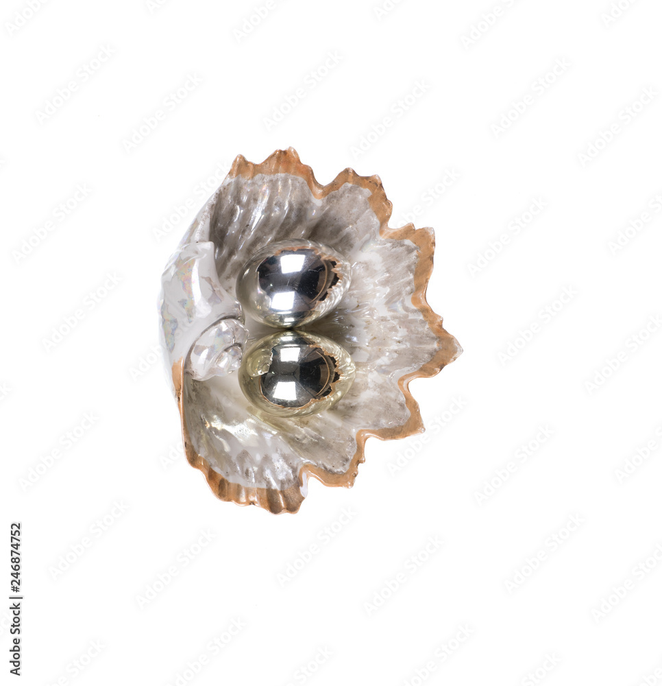 decorative seashell with pearls on a white isolated background decorative seashell with pearls on a white isolated background