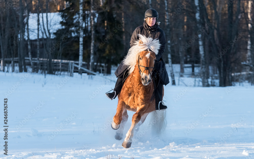 Fototapeta premium Woman horseback riding in winter
