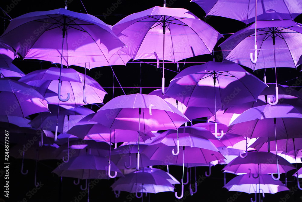 Obraz premium purple umbrella hang on wire for decoration