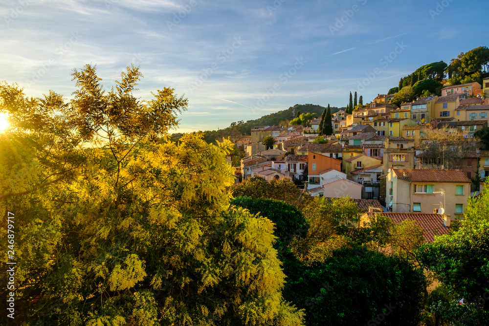 Vue panoramique sur le village de Bormes-les-Mimosas depuis la terrasse. Arbres de mimosa en fleurs. Coucher de soleil. Provence, France.