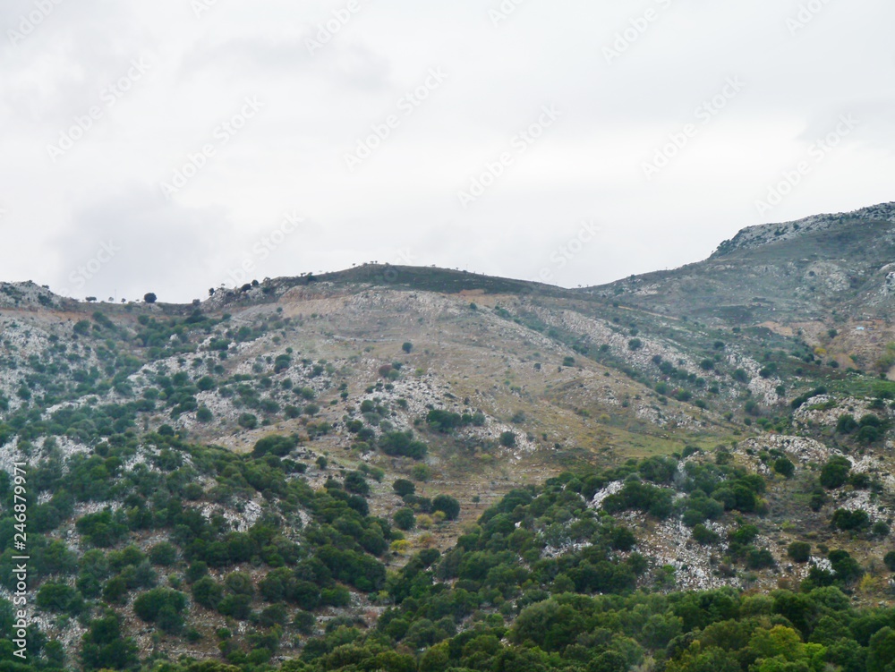 Bewaldeter Berg auf Kreta