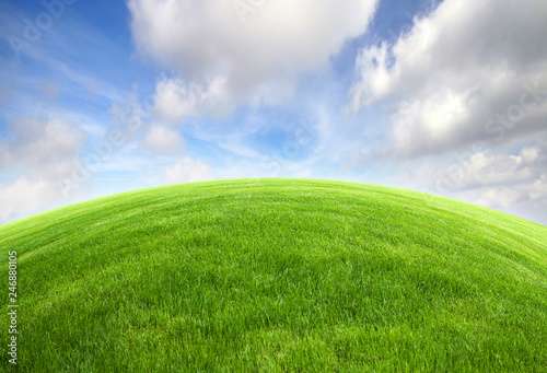 Cuadro en lienzo Green grass field with bright blue sky