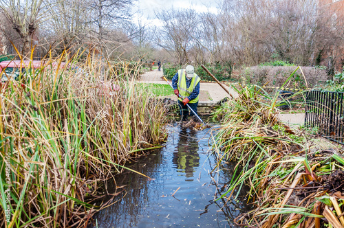 Conservation workers clear weeds in the pond, London,UK