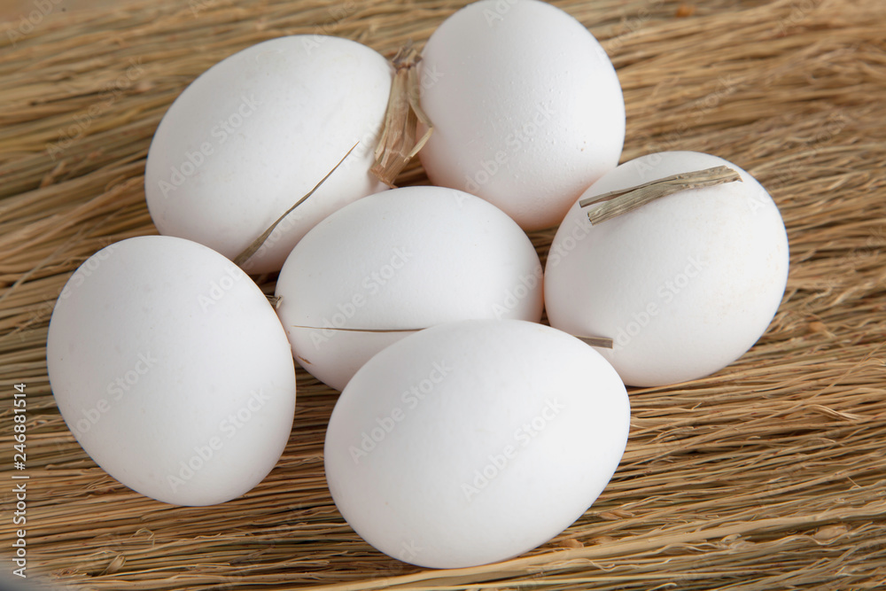 Chicken Eggs on dry grass. Feathers chicken. Chicken Eggs on dry grass. Feathers chicken.