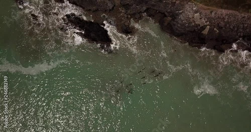 Looking down on an old wharf in Okains Bay, New Zealand photo