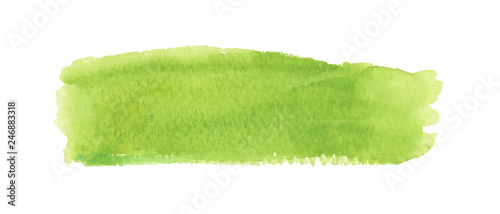 Light green watercolor label. Vector illustration.