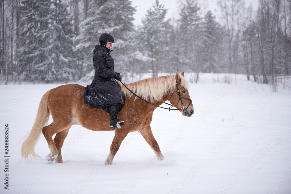 Woman horseback riding in forest Woman horseback riding in forest