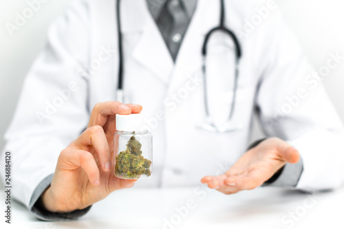 Doktor im weißen Kittel hält Cannabis Hanf als Medizin in einer Medikamenten Dose photo